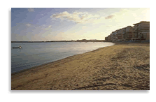 Playa del Acequion